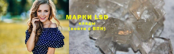 мяу мяу мука Верея